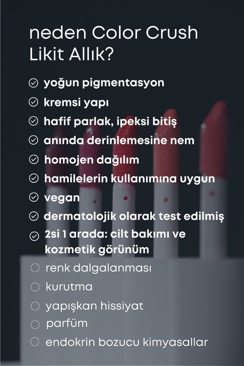 COLOR CRUSH LİKİT ALLIK - 101 ROSE PETAL